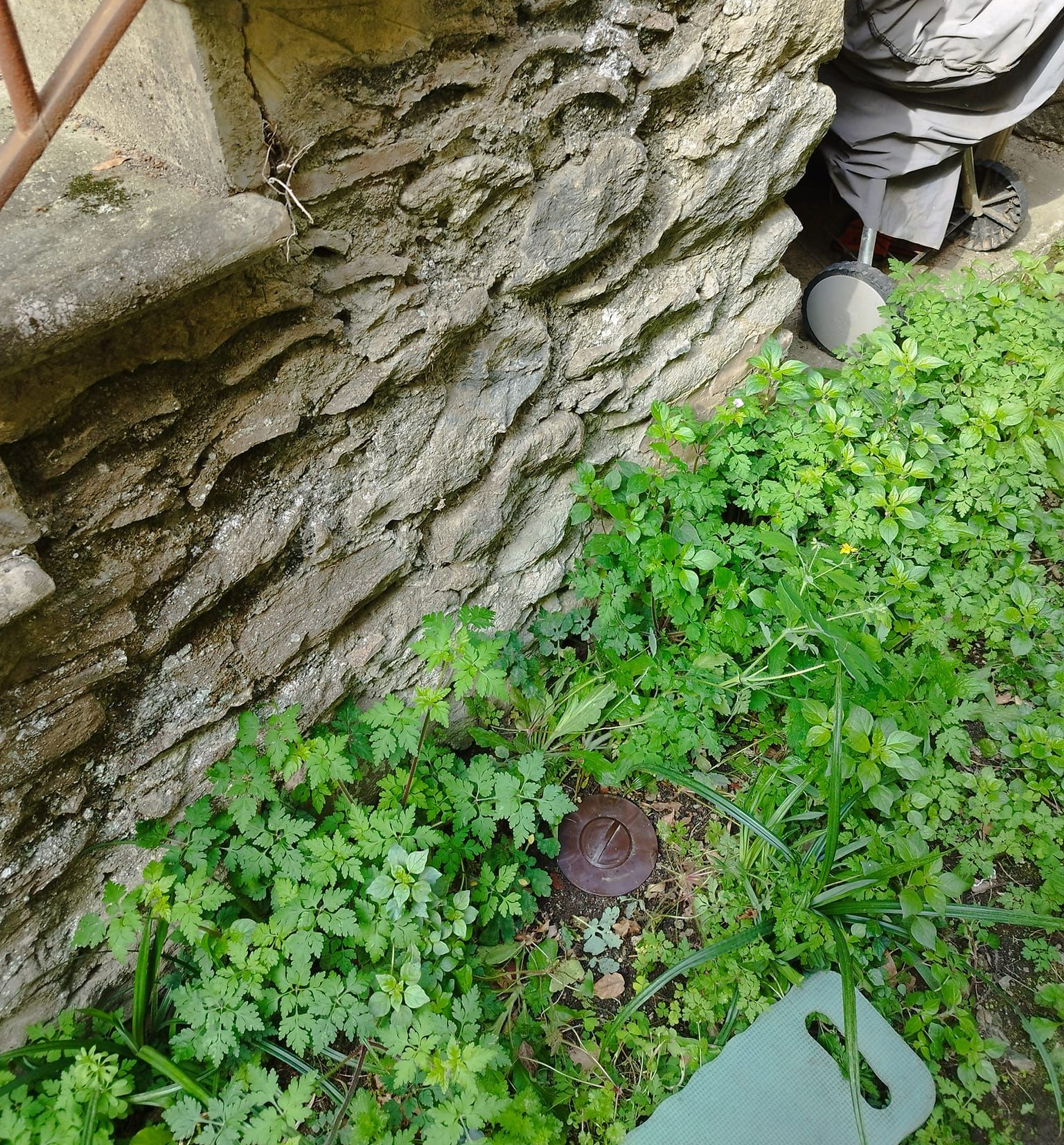 Un piège à termites enterré à côté d'un escalier.