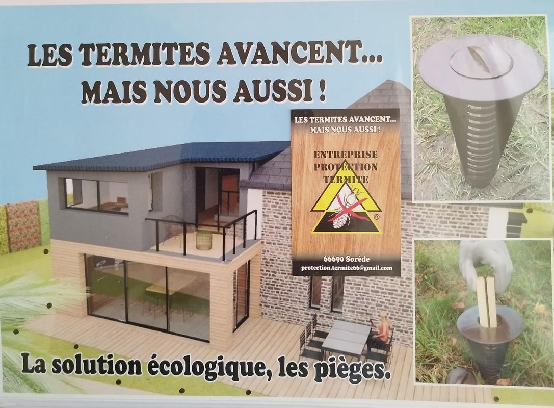 Une grande maison et un piège à termites.