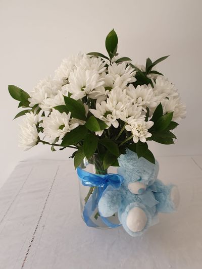 Crisantemos blancos en un jarrón transparente con una cinta azul y un pequeño osito de peluche azul sobre una superficie blanca.