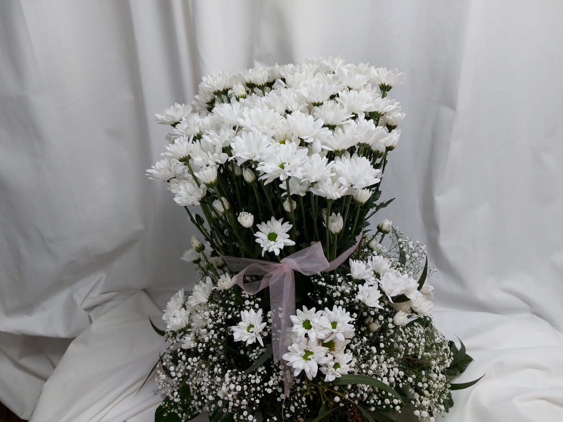 Arreglo floral de crisantemo blanco atado con una cinta rosa sobre un fondo blanco.