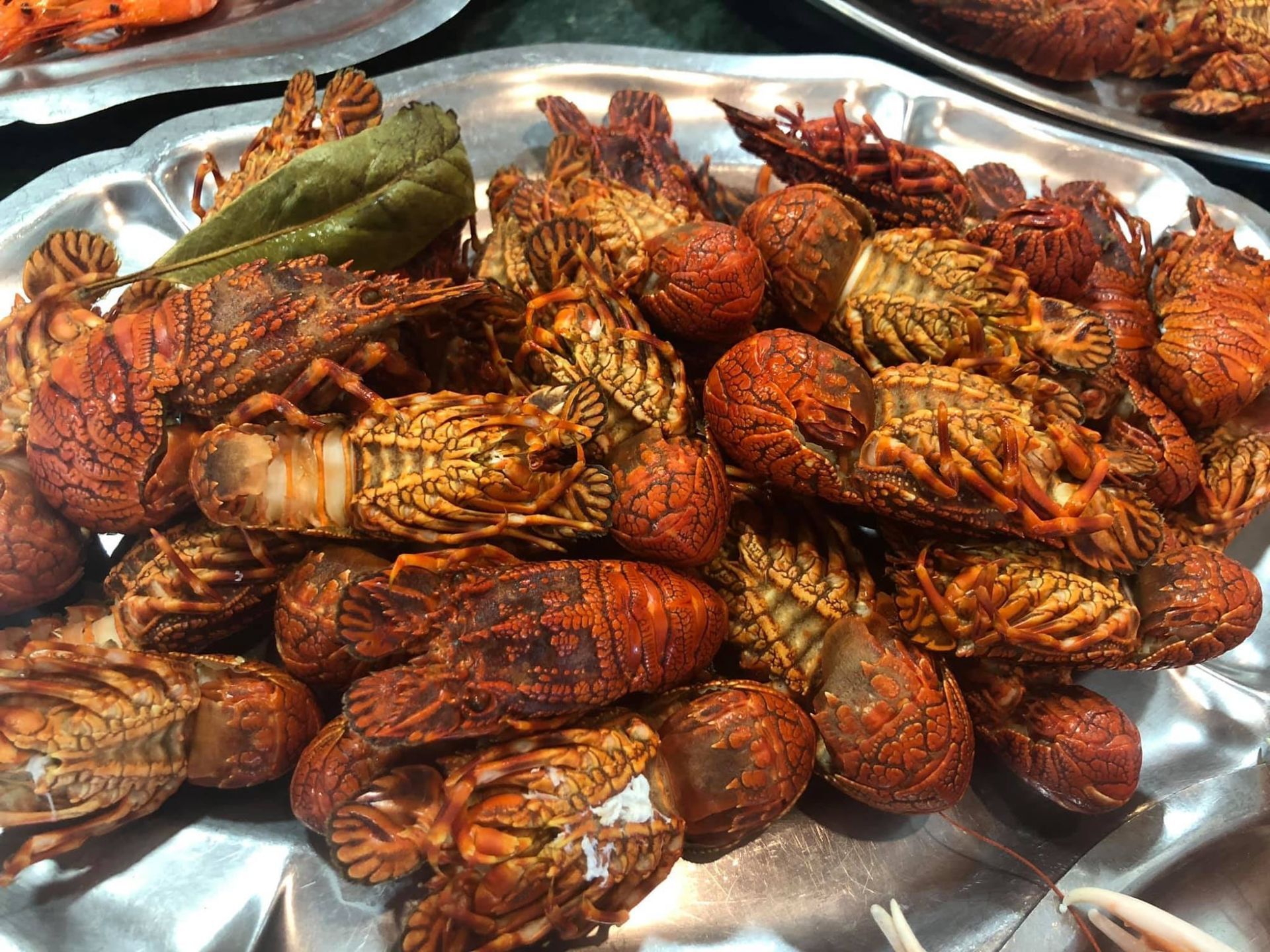 Pila de langostas cocidas en una bandeja de plata, de color marrón rojizo con conchas estampadas.