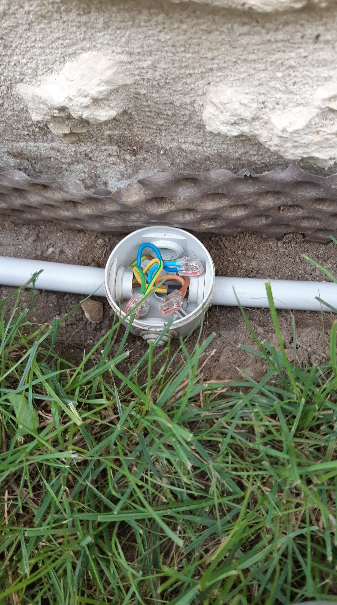 Une boîte de jonction électrique ouverte avec des fils et un conduit exposés dans l'herbe près d'un mur en béton.