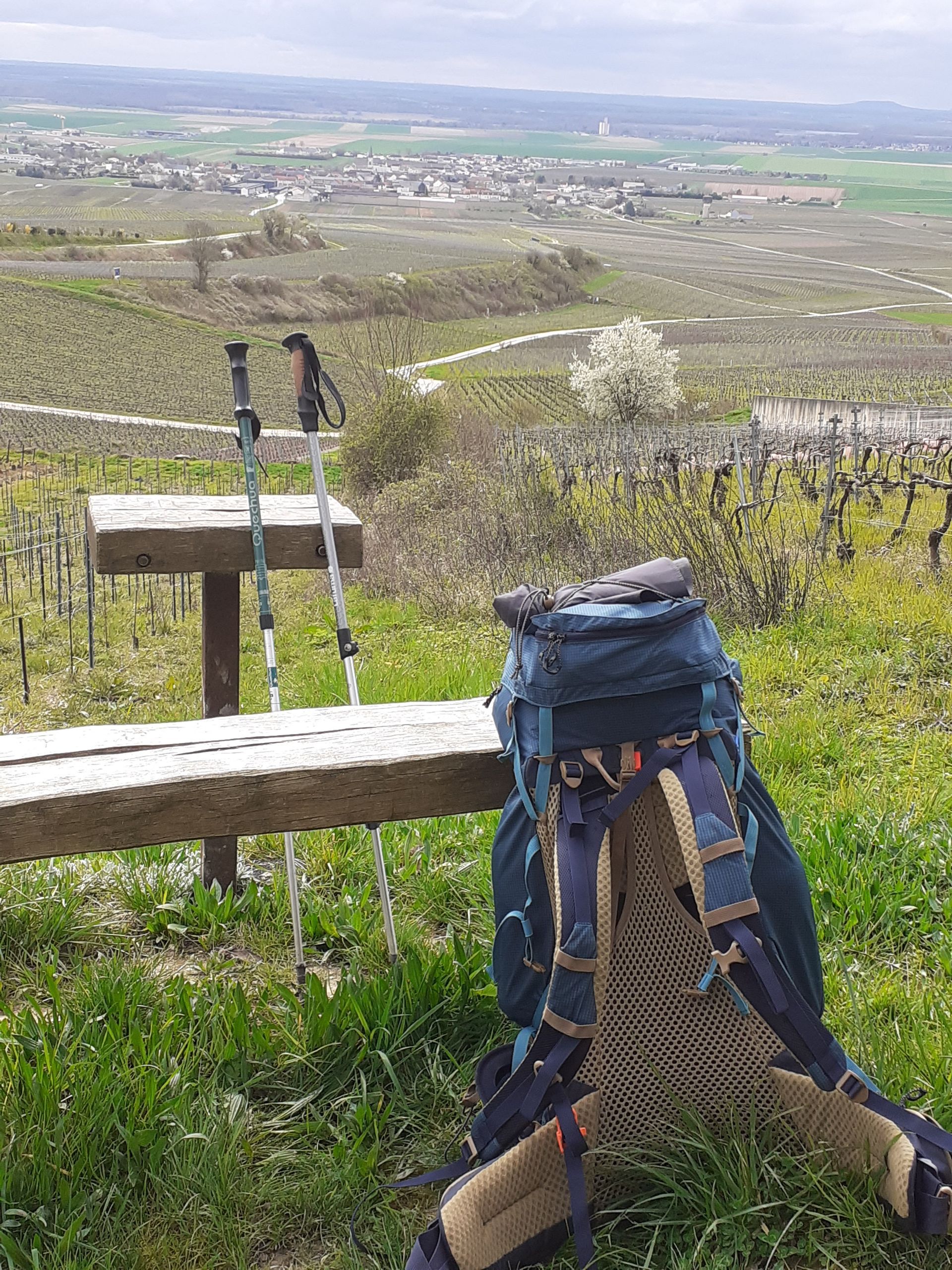 GR 142 du Tour de la Montagne de Reims