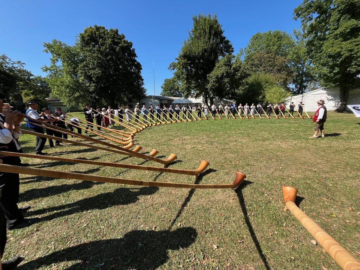 alphorn grossformation, alphornblaeser, alphorngruppe,