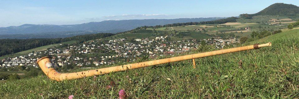 alphorn group