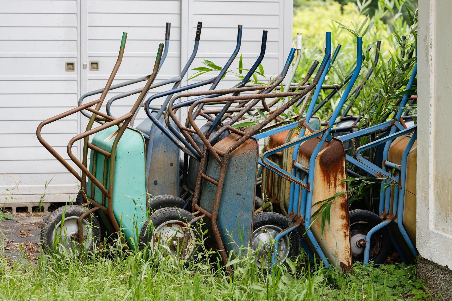 Un groupe de brouettes patinées et rouillées.