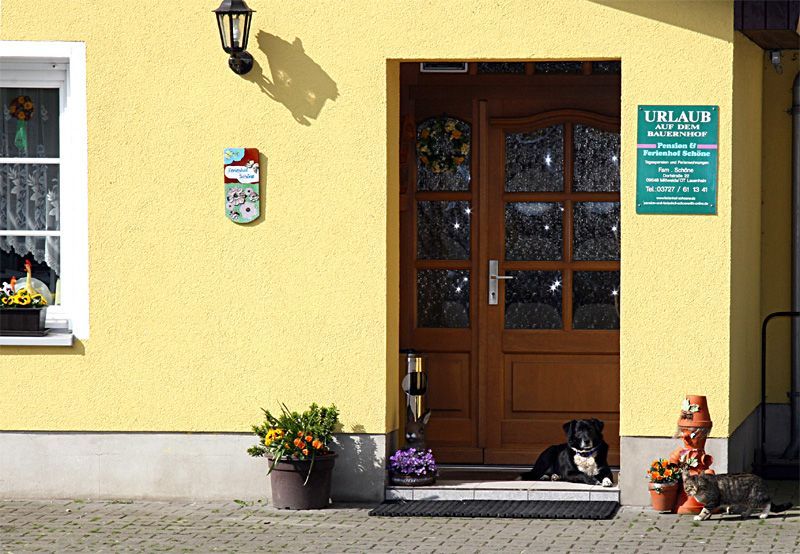 Pension & Ferienwohnung Schöne