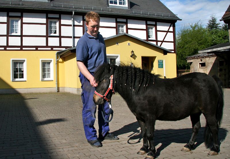 Pension & Ferienwohnung Schöne