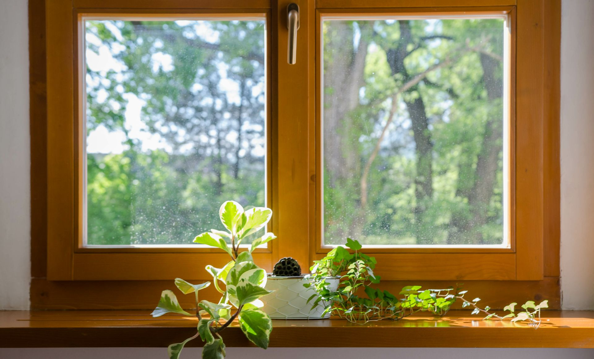 Une fenêtre en bois.