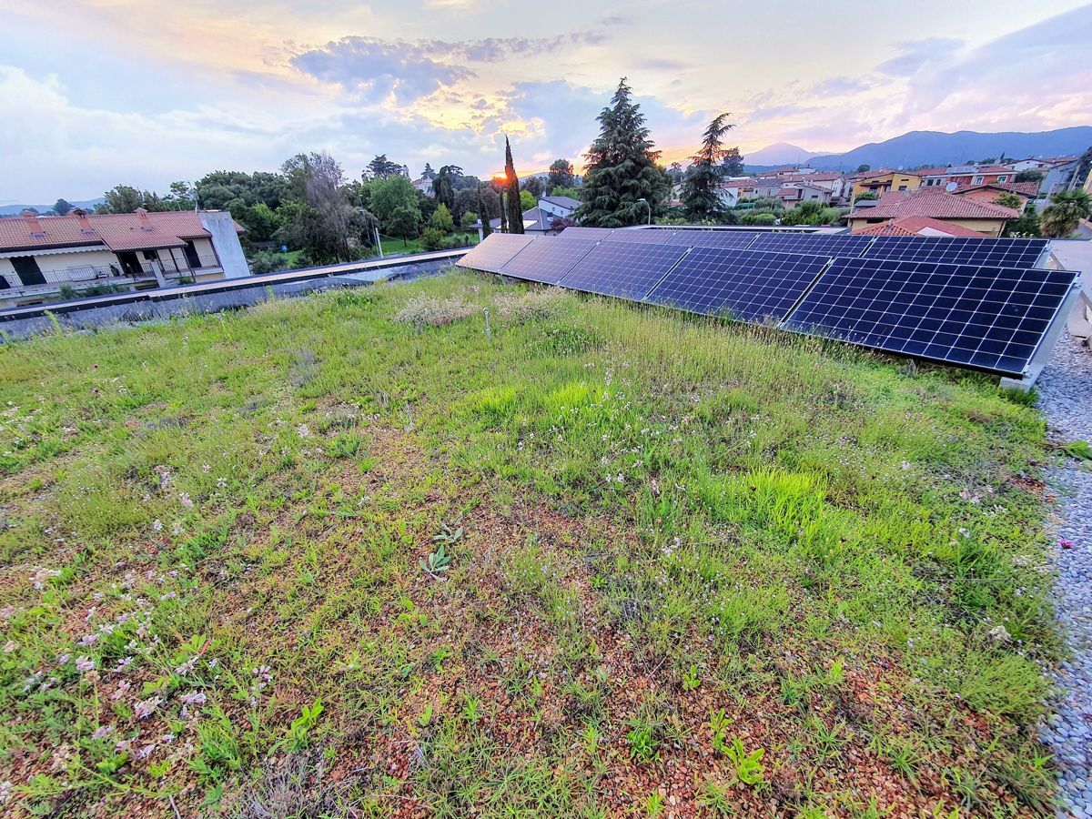 Gründach mit Solarmodulen, Stadtbild im Hintergrund bei Sonnenuntergang.