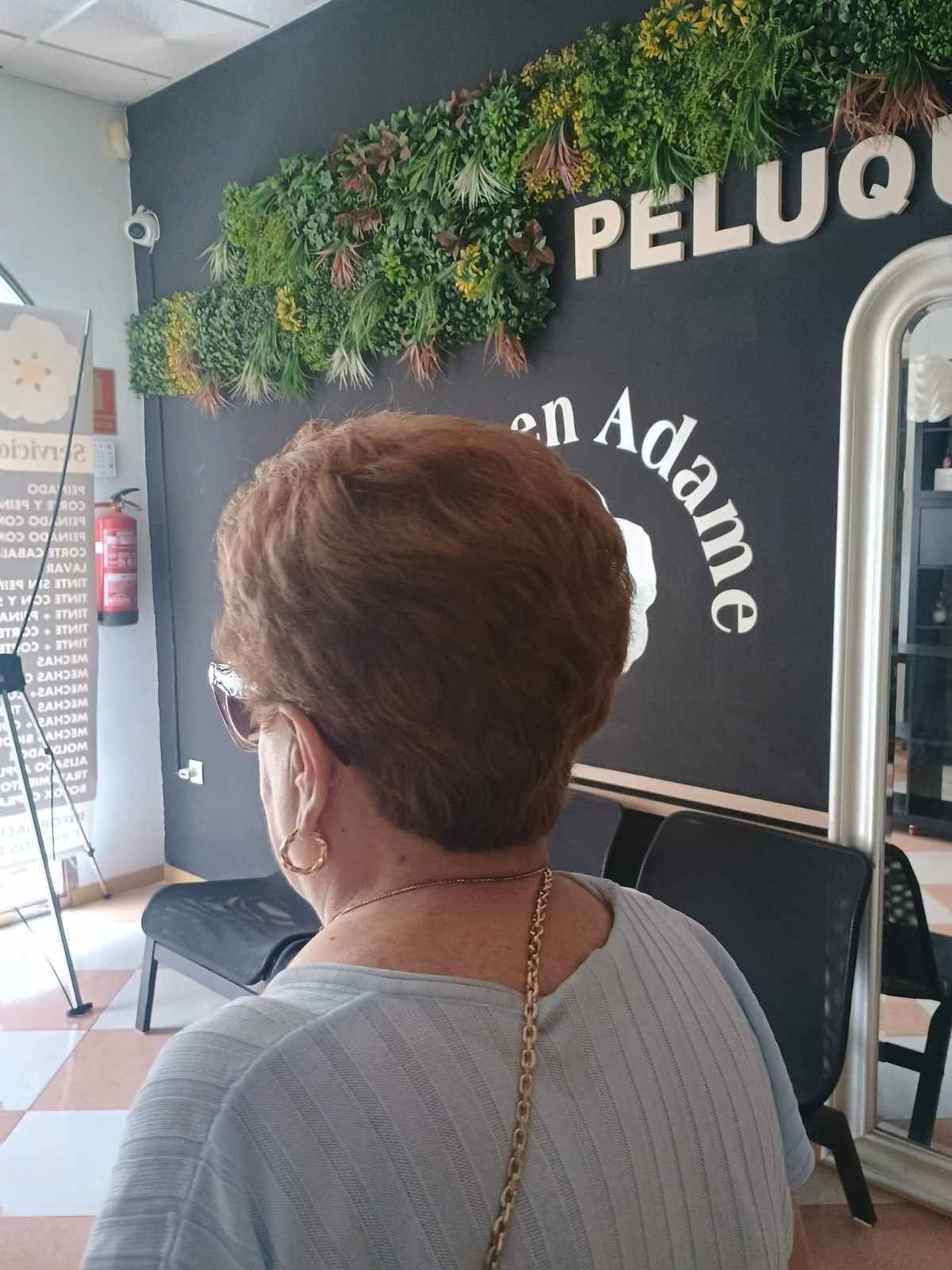 Cliente sentado en un salón, visto desde atrás, con un letrero negro en la pared y decoración con plantas verdes.