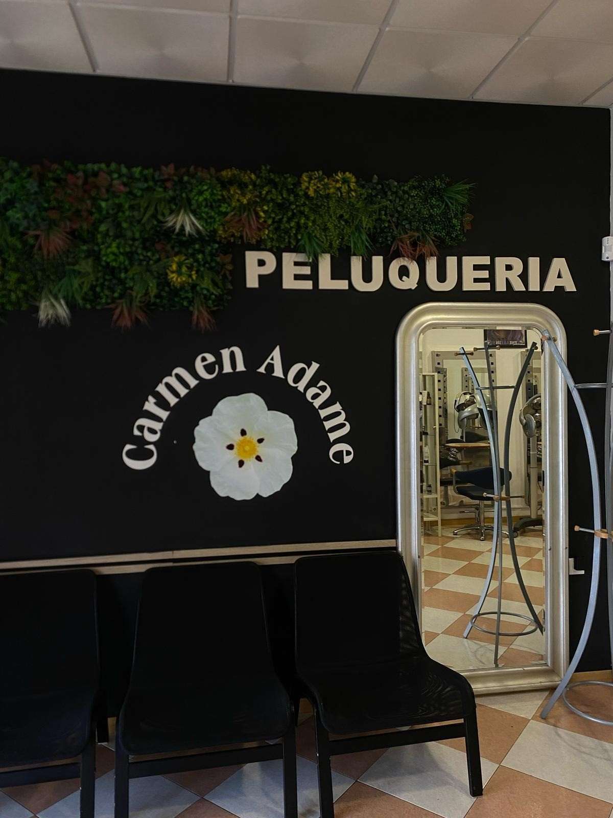 Fachada de peluquería con pared negra, letrero “PELUQUERIA Carmen Adame”, plantas, espejo y sillas.
