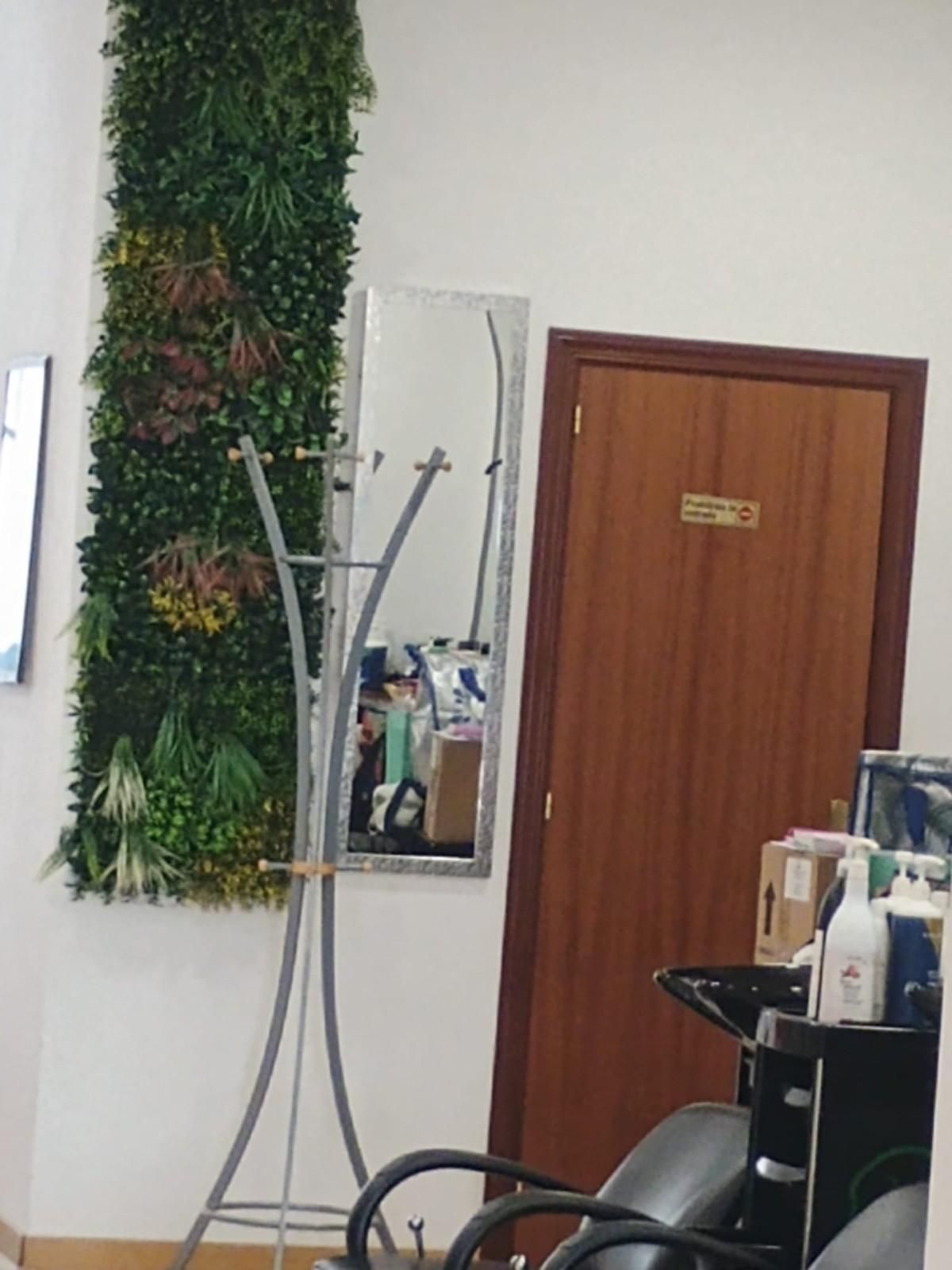 Interior con panel de pared verde, espejo, puerta de madera y silla de salón en una habitación pequeña.