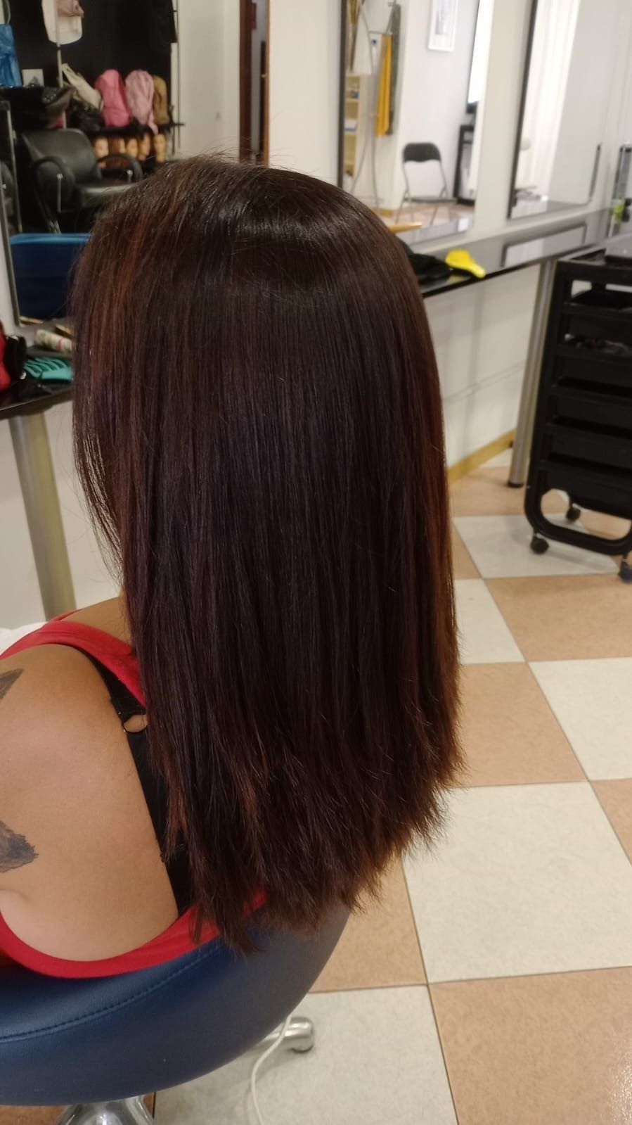 Persona con cabello liso castaño oscuro sentada en una silla de peluquería, vista desde atrás.