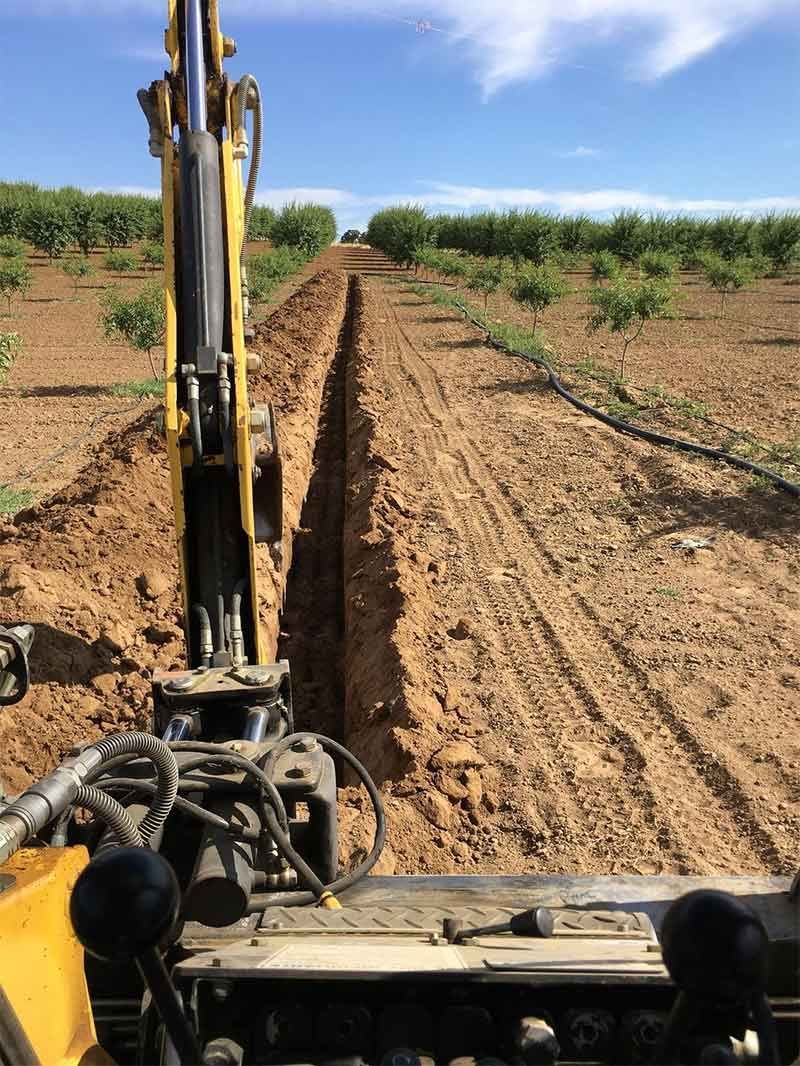 Excavadora cavando una zanja en un campo. Tierra marrón, hileras de árboles al fondo y cielo azul.