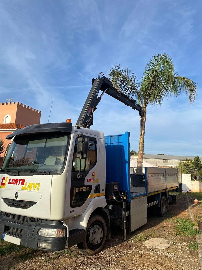 Un camión Renault blanco con una grúa levanta una palmera al aire libre bajo un cielo azul.