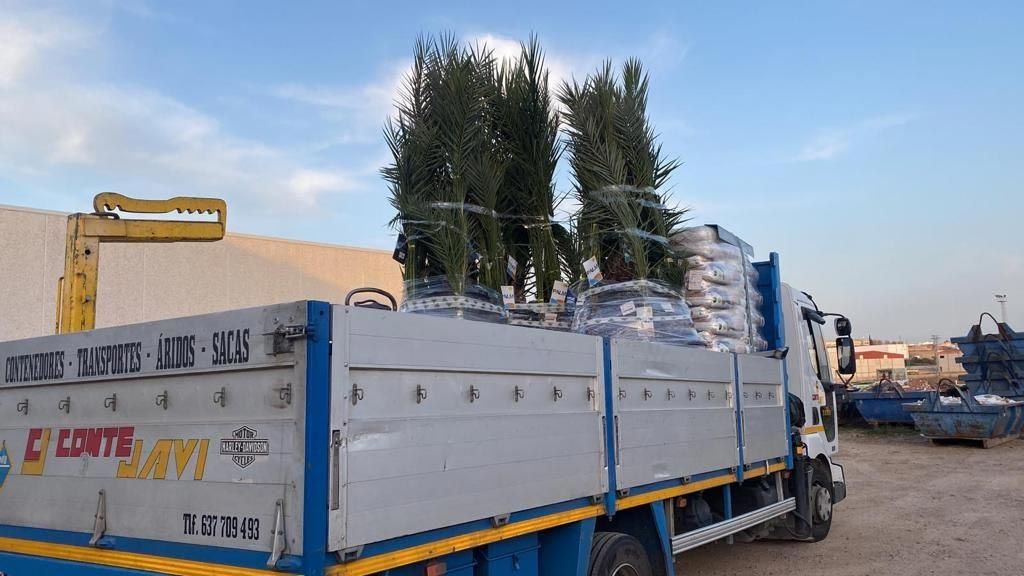 Plataforma de camión cargada con árboles y paquetes envueltos en un sitio de construcción.