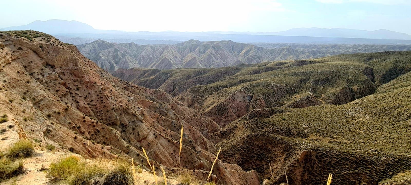 Una vista de un valle desértico con montañas al fondo.