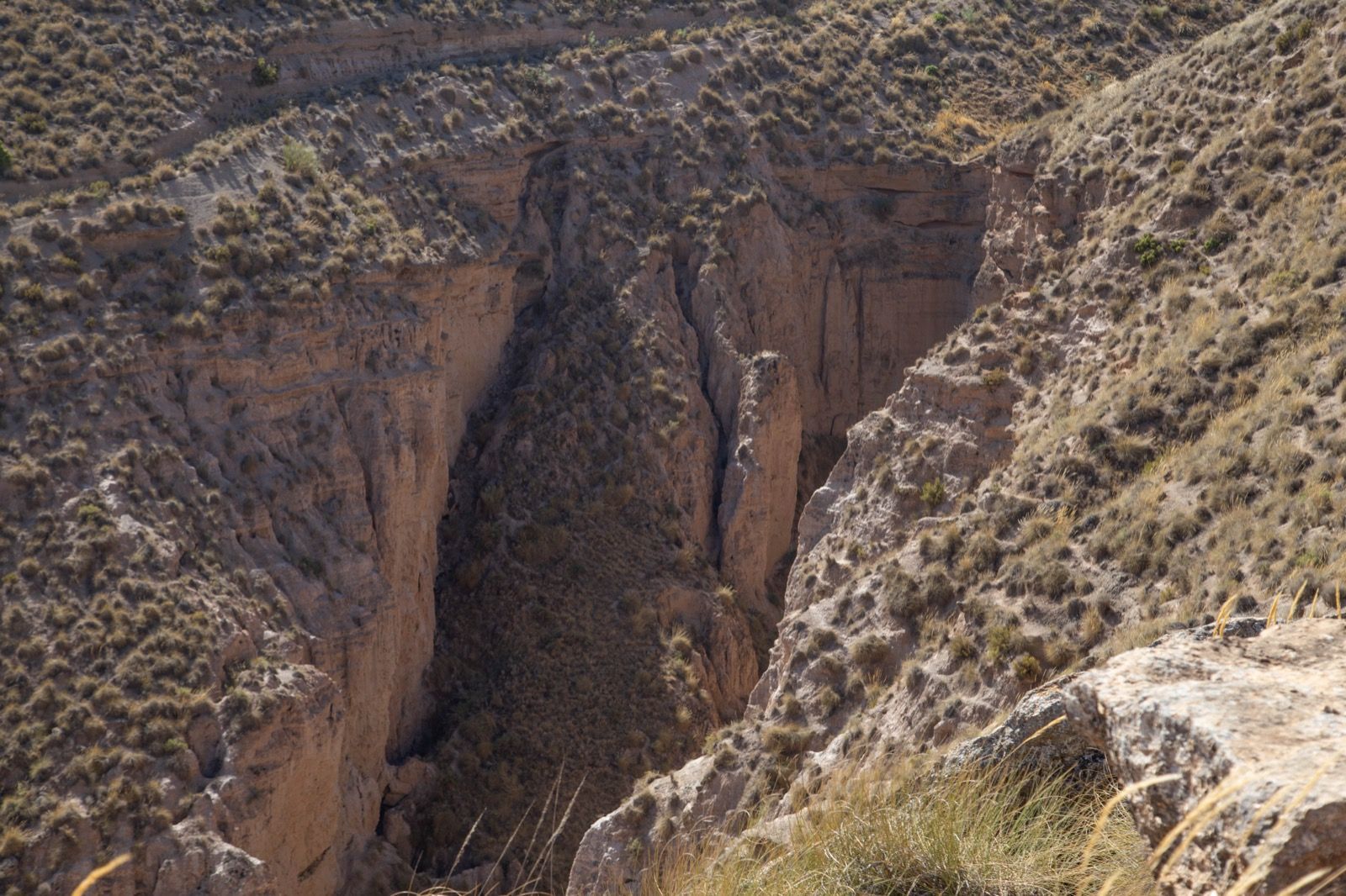 Una vista de un cañón desde la cima de una colina