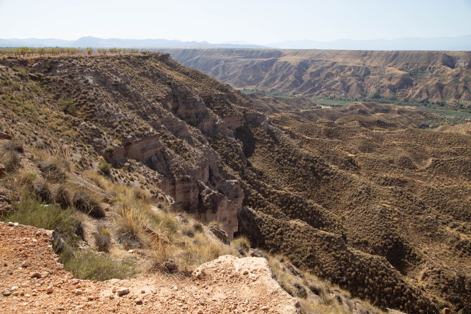 Una vista de un cañón con montañas al fondo.