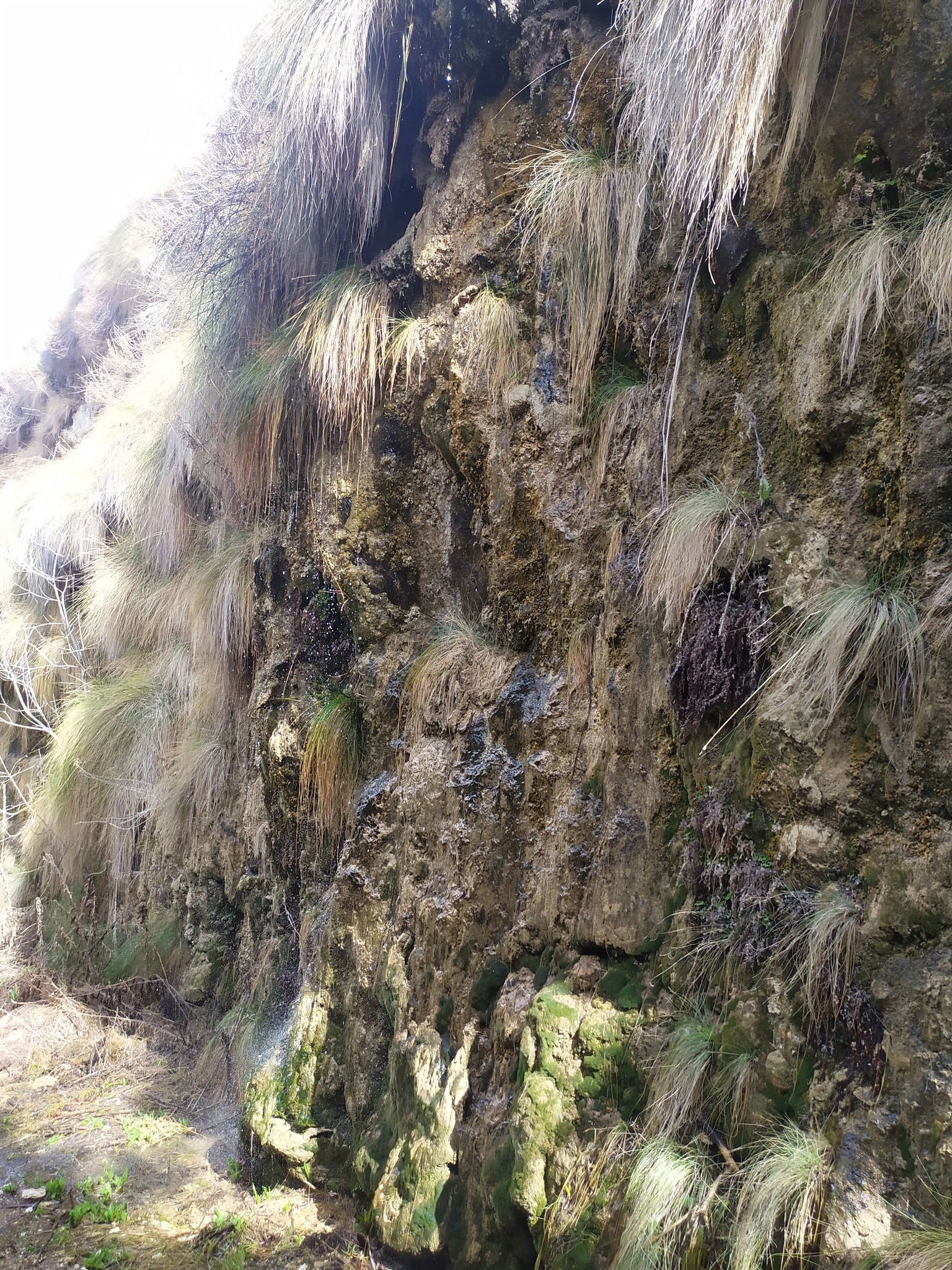 Una cascada sale del costado de un acantilado rocoso.
