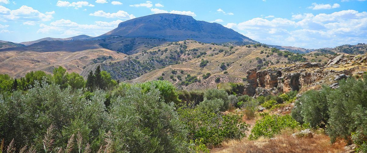 Hay una montaña al fondo con árboles en primer plano.