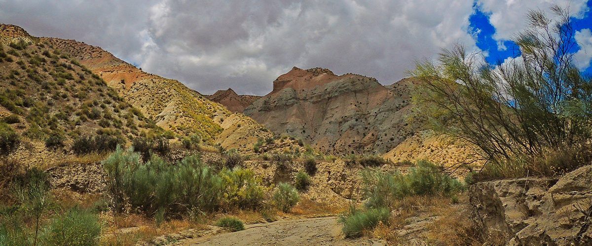 Un paisaje desértico con montañas al fondo y un camino de tierra en primer plano.