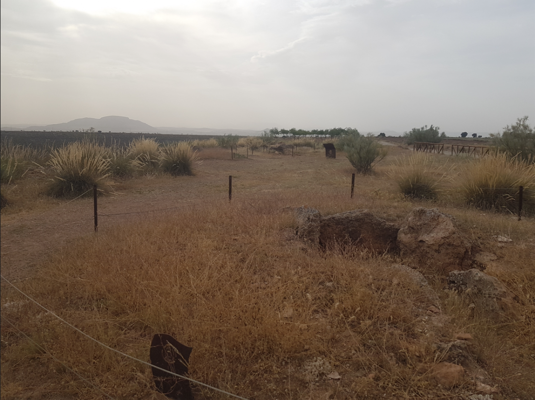 Un campo de hierba seca con una cerca de alambre de púas en primer plano.
