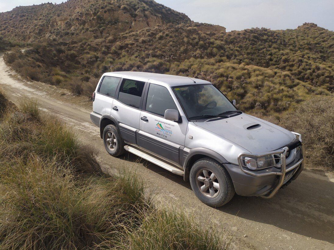 Una camioneta plateada circula por un camino de tierra.