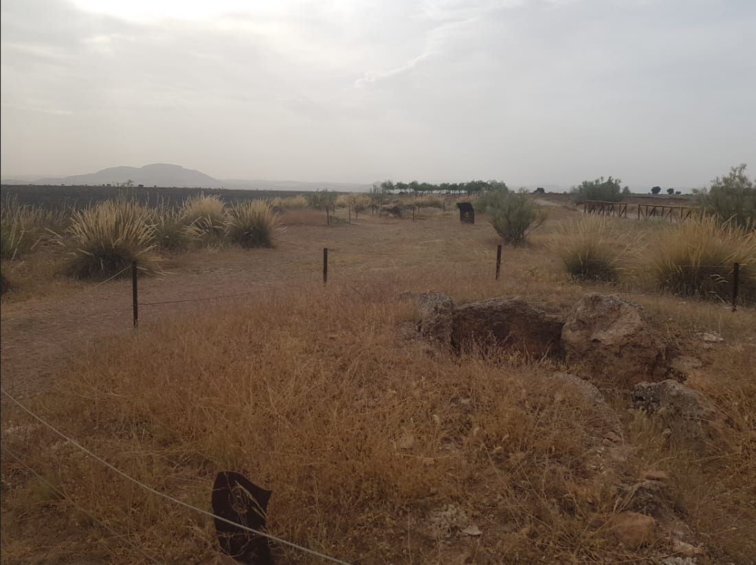 Un campo de hierba seca con una cerca de alambre de púas en primer plano.