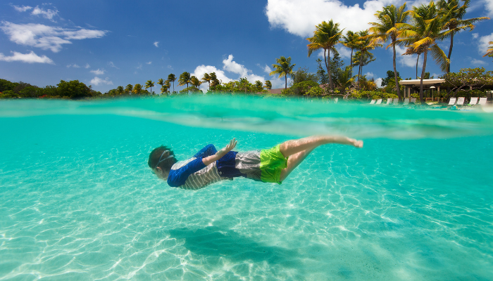 Person snorkeling in turquoise water, tropical beach in background under a blue sky.