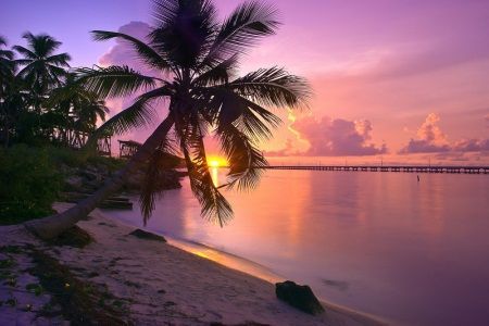 Beach in Florida Keys