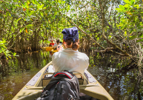 Kayaker in a narrow waterway, surrounded by mangroves. Another kayak ahead; sunny, verdant environment.