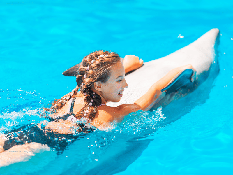 swimming with dolphins marathon Florida