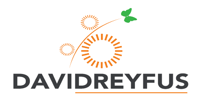 Logo ETS DAVID DREYFUS