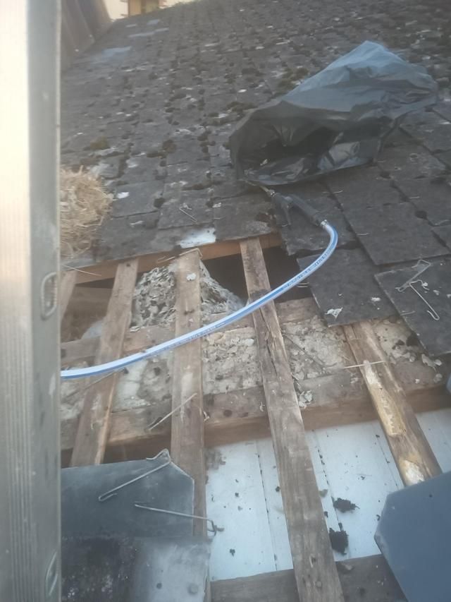 Intervention sous la toiture