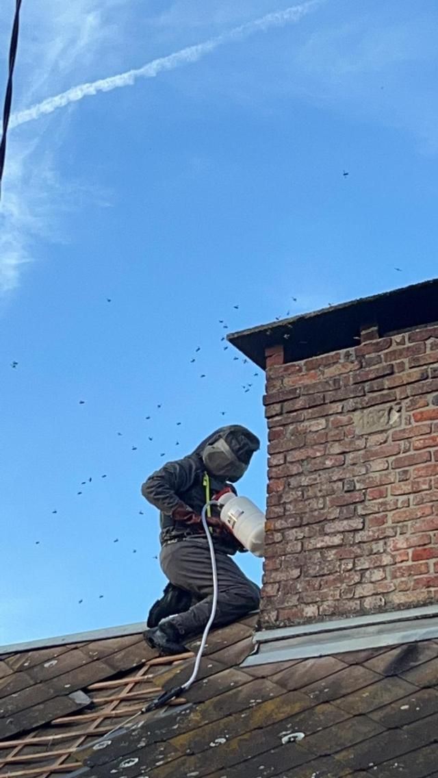 Professionnel qui intervient