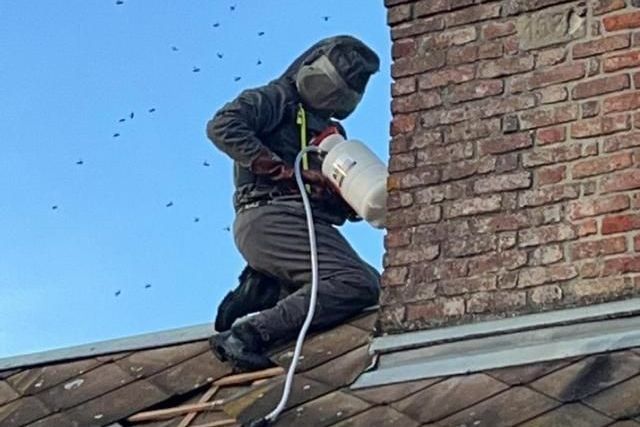 Désinsectisation pratiquée en hauteur sur un conduit d'évacuation d'une cheminée