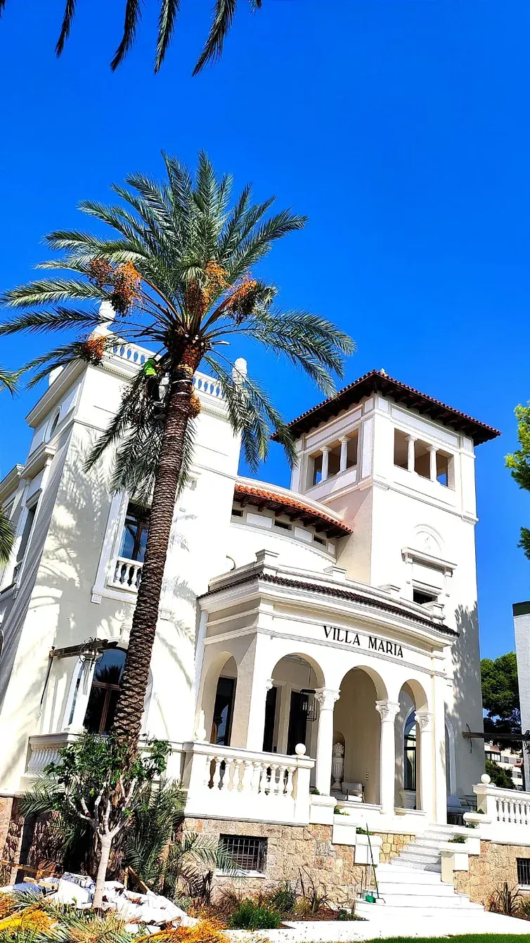 Un gran edificio blanco con una palmera delante.