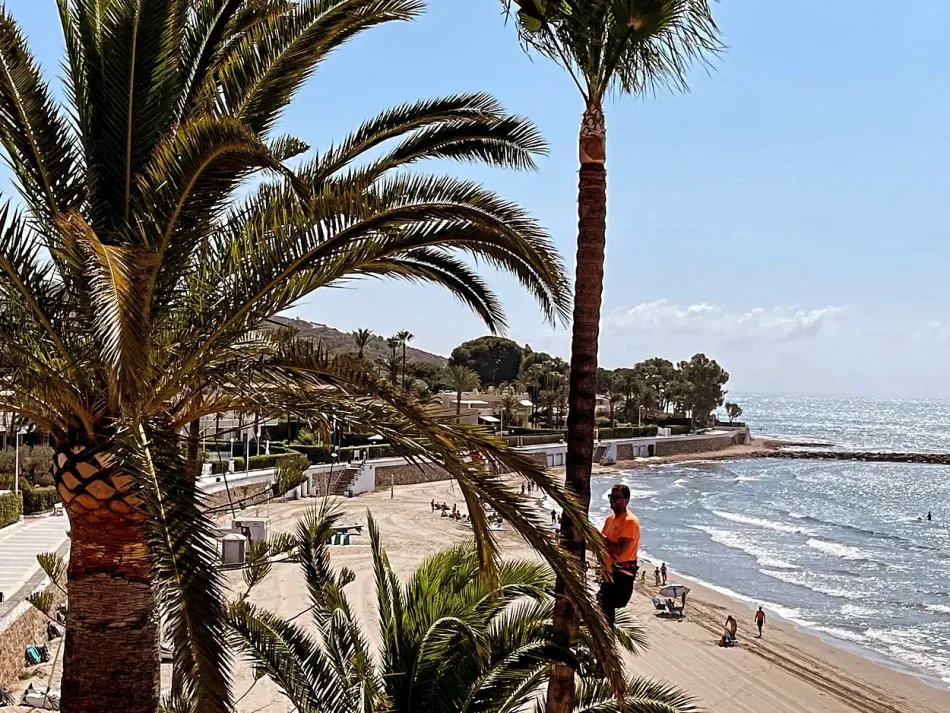 Un hombre está parado en una playa mirando el océano.