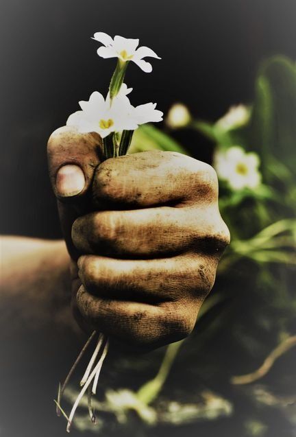 Hand, die Blumen hält
