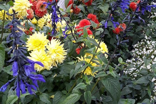 Stefan Wittkop Gartengestaltung Gartenanlage