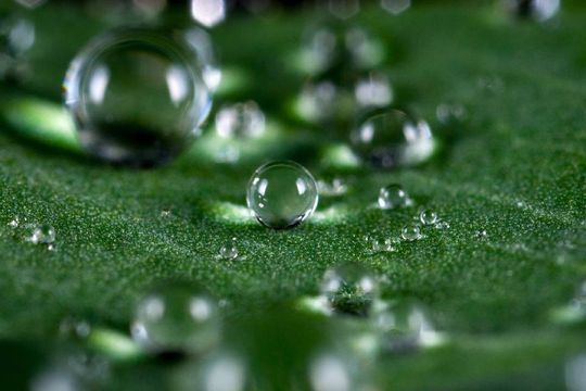 Stefan Wittkop Gartengestaltung Gartenanlage