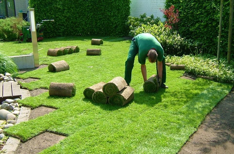 Mitarbeiter der Rasen legt