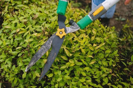 Stefan Wittkop Gartengestaltung Gartenanlage