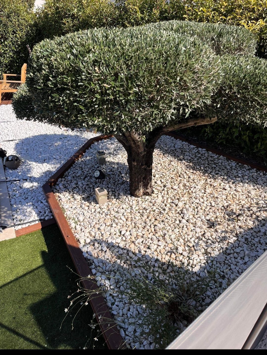 Aménagement de bordure et graviers autour d'un olivier