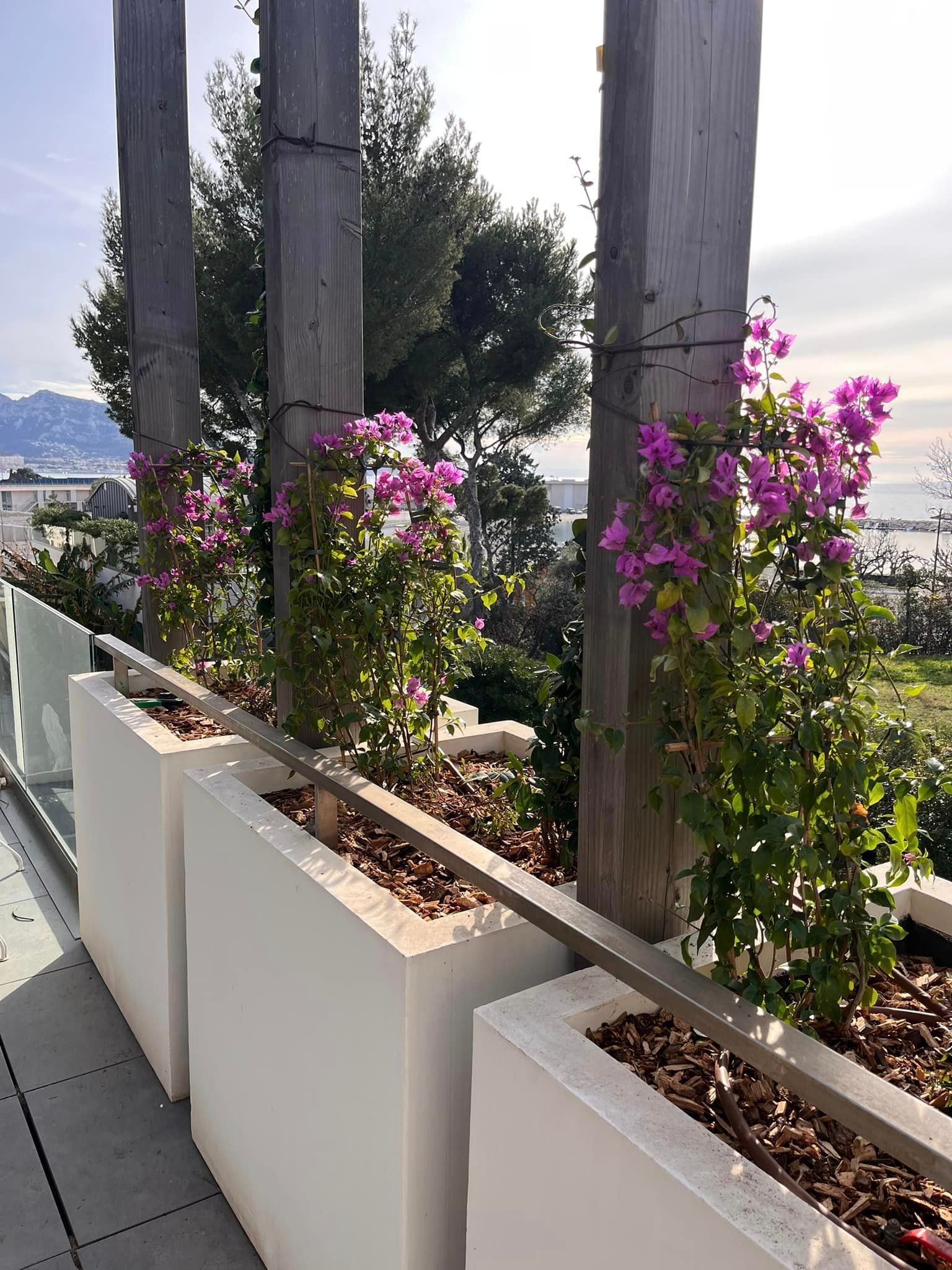 Plantation de fleurs dans des jardinières