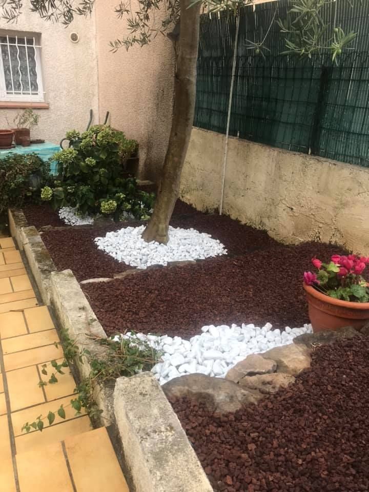 Arbre entouré de graviers blancs