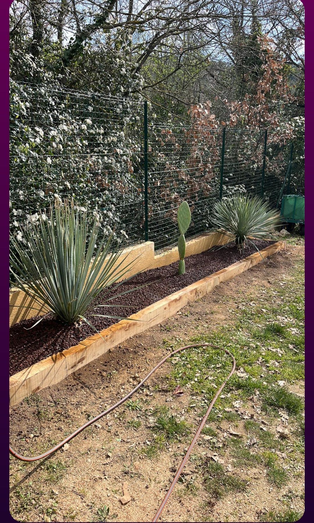 Création paysagère, bordures et plantation finalisée
