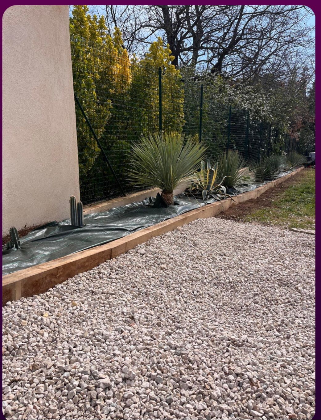 Création paysagère, bordures et plantation le long d'un mur